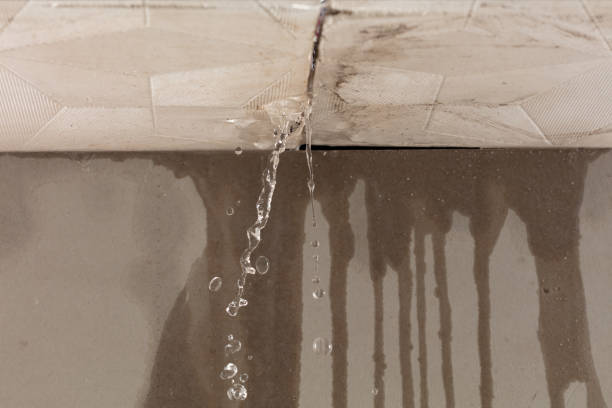 Professional Water Damage Inspection technician working in Trinity, FL